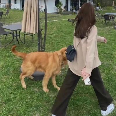 完全家族