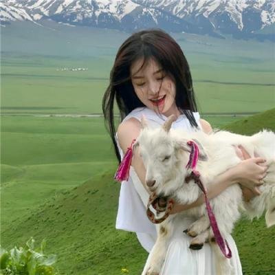 熊猫与你,滚滚而来!